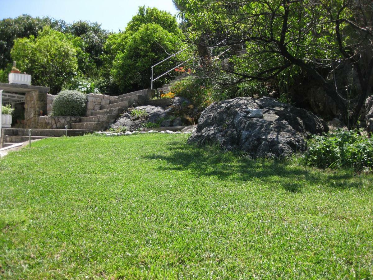Marivo Apartment Molunat